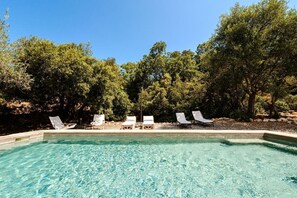 Unclassified image, 3 of 40, button - Traditional trulli just a few minutes from the sea with an exclusive pool immersed in greenery (Monopoli)