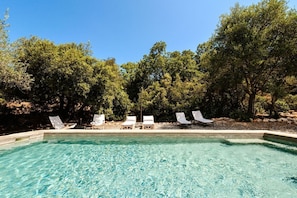 Pool - Authentic Trulli with Private Pool, Sleeps 7 in Monopoli Countryside. Pet Friendly (Monopoli)