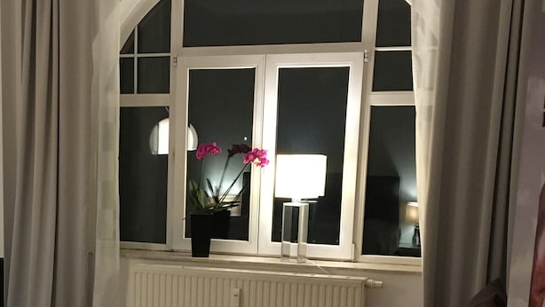A room with a window featuring a white radiator, a potted plant with pink flowers, and a white lamp.
