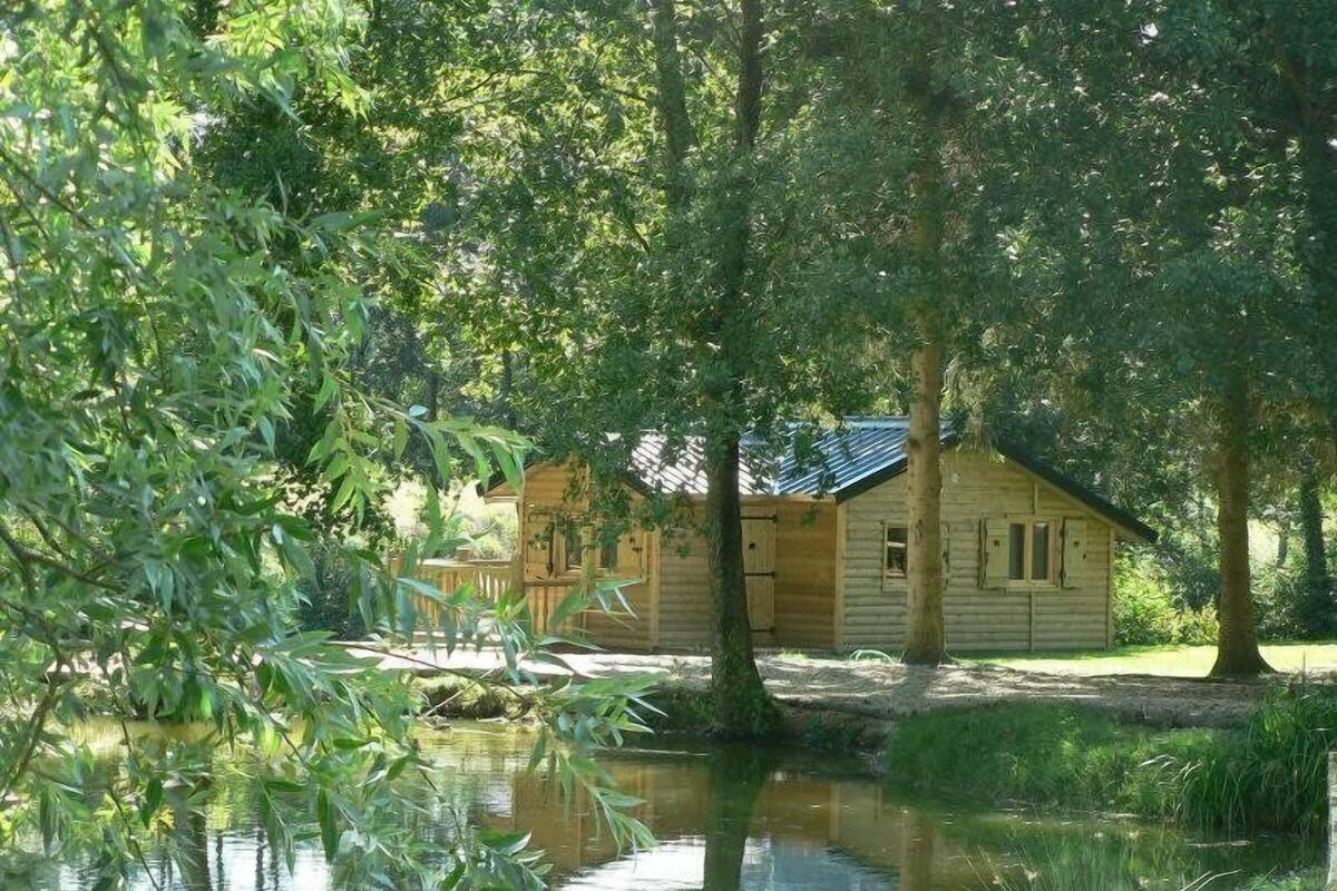 A wooden cabin by a calm pond, surrounded by dense foliage.