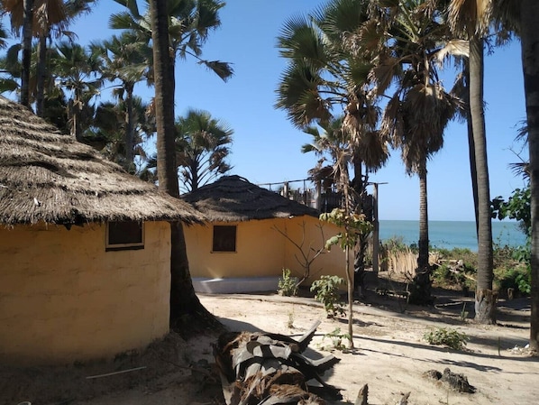 Une hutte au toit de chaume, avec un sol en terre battue, entourée de palmiers et offrant une vue dégagée sur la mer.