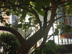 تفاصيل الفندق من الخارج