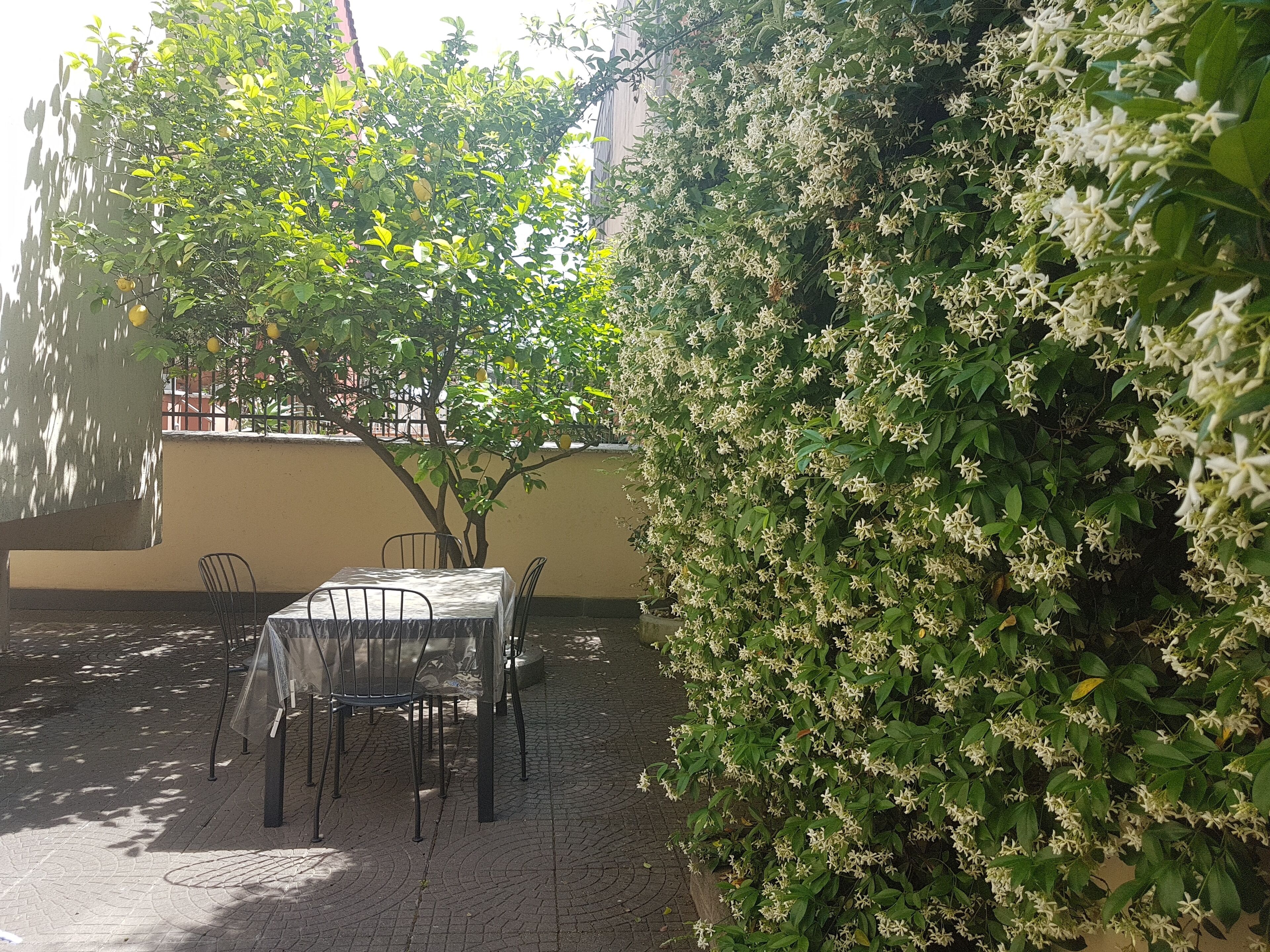 Ristorazione all'aperto