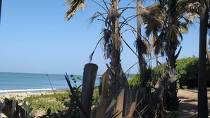 A beach with palm trees and a clear view of the ocean. - Unspoiled South Gambian Paradise '' Pure Nature Treehouse '' (Kartung)