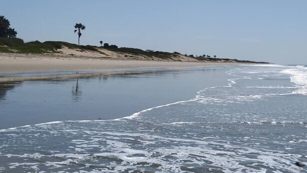 A beach with a sandy shore and gentle waves. - Unspoiled South Gambian Paradise '' Pure Nature Treehouse '' (Kartung)