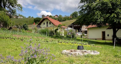 Apartment at the Vesel Homestead, Local Experience