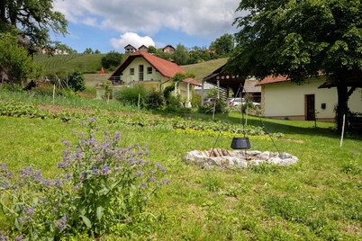 Apartment at the Vesel Homestead, Local Experience