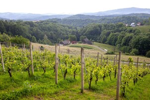 Casa tradicional | Área de estar | TV de tela plana, brinquedos, livros