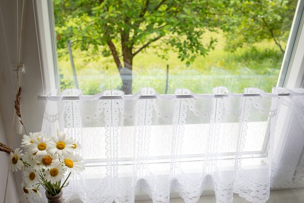 A window with lace curtains and a vase of white daisies.