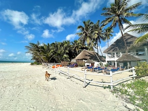 Façana frontal de l'allotjament