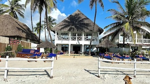 Un hotel frente a la playa con estructuras de techo de paja, sillas de descanso y un perro en la arena.