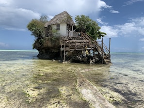 Ecotours
