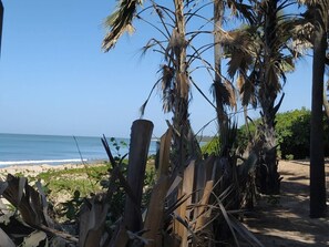 Playa