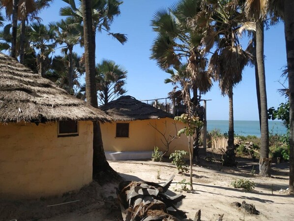 Une hutte au toit de chaume, avec un sol en terre battue, entourée de palmiers et offrant une vue dégagée sur la mer.
