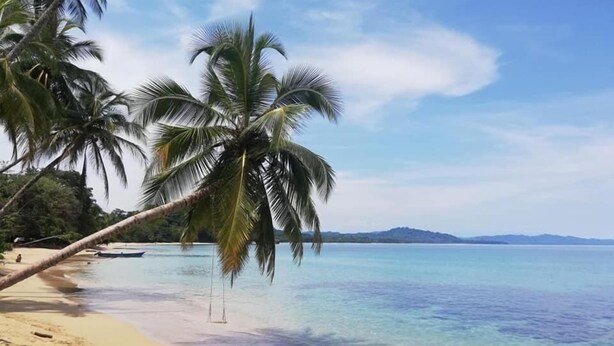 A beach with clear turquoise water, palm trees, and a distant mountain range. - Alloro Jungle Villas (Cahuita)