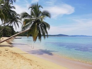 A beach with clear turquoise water, palm trees, and a distant mountain range. - Alloro Jungle Villas (Cahuita)