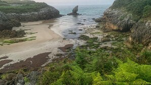 Eine Küstenlandschaft mit Sandstrand, Felsformationen und üppigem Grün.