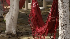 Un hamac est suspendu entre deux arbres dans une cour dont le sol est recouvert de carreaux, et on aperçoit un banc au fond.