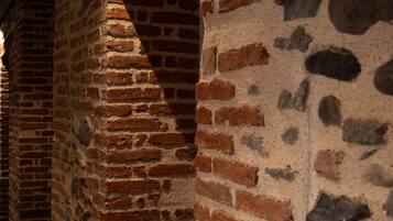 Primer plano de un muro de ladrillo con textura rugosa y juntas de mortero visibles.