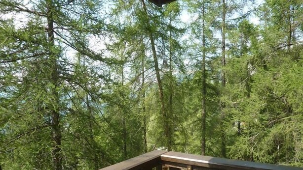 Puinen terassi, jolta avautuu näkymä tiheään, vihreään puustoon.