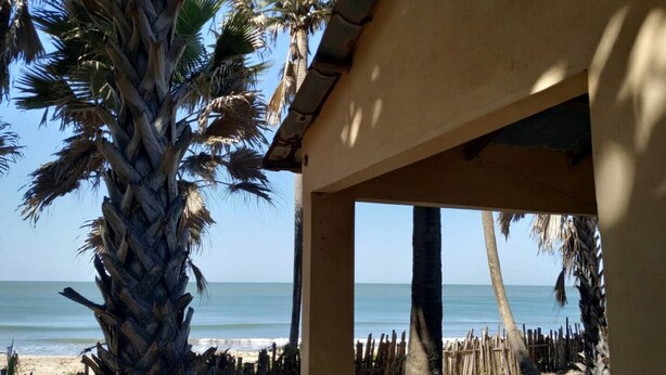 A beach view with a wooden fence, palm trees, and a building with an open side. - Unspoiled South Gambian Paradise '' Unspoiled Roundhouse '' (Gunjar Madina)