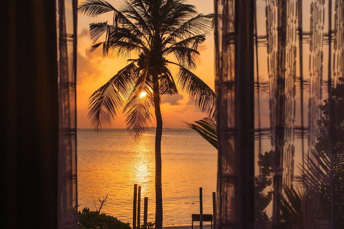 A view of a palm tree and ocean at sunset through a window with vertical blinds.