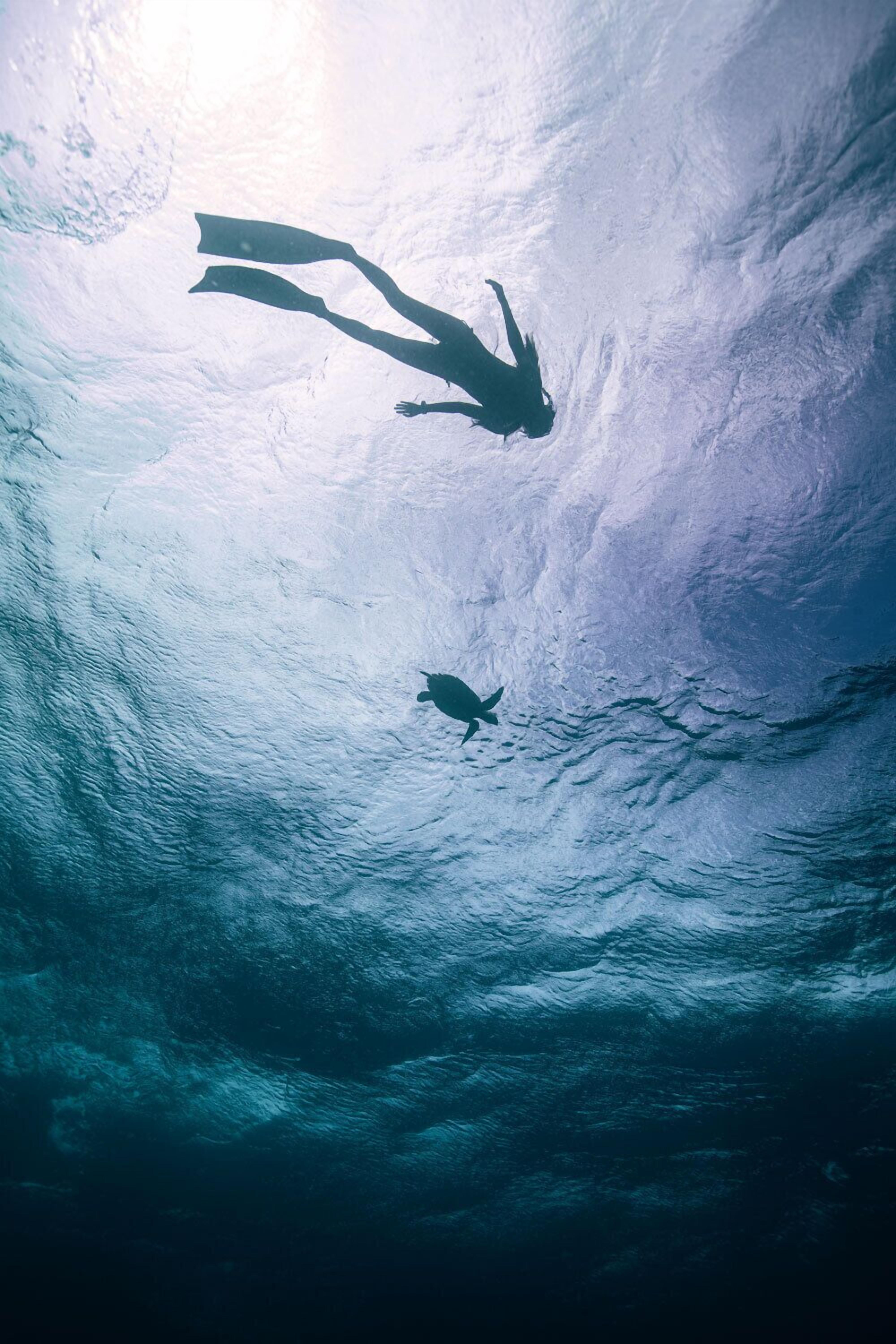 An underwater view of a diver with fins, surrounded by water.