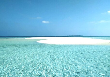 ์์ฝํฌ์ด