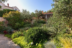 A garden with a stone pathway leading to a building with a tiled roof. - Villa Lukrecia (Supetar)