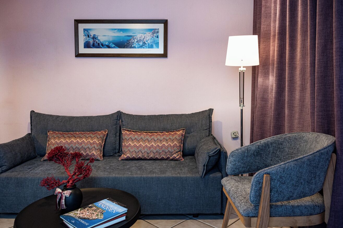 A living room with a grey sofa, patterned cushions, a blue armchair, a black coffee table with books, a vase with red branches, a framed picture on the wall, and a floor lamp.