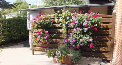 Le Camp des Roses