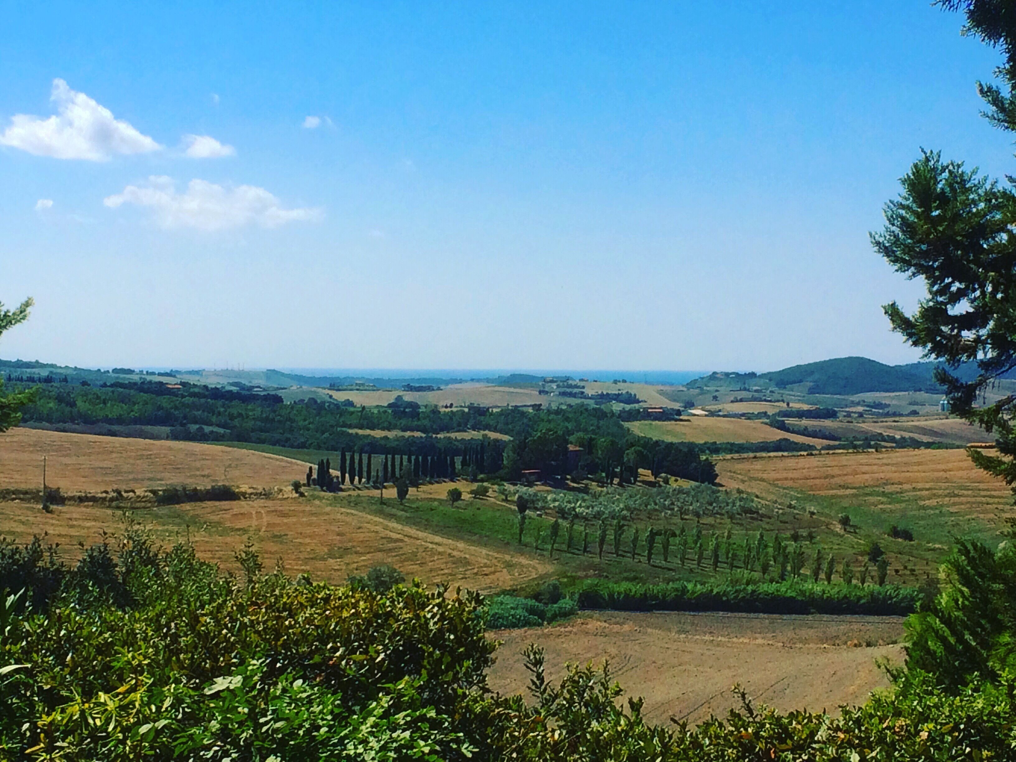 A panoramic view of a rural landscape with fields, trees, and distant hills.