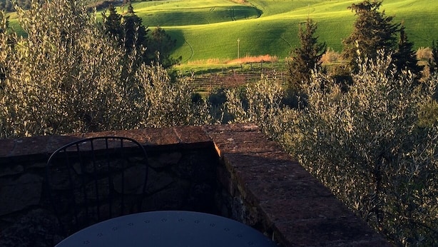 A stone bench overlooking a green field with a distant hill and buildings. - La Locanda del Barbagianni (Santa Luce)