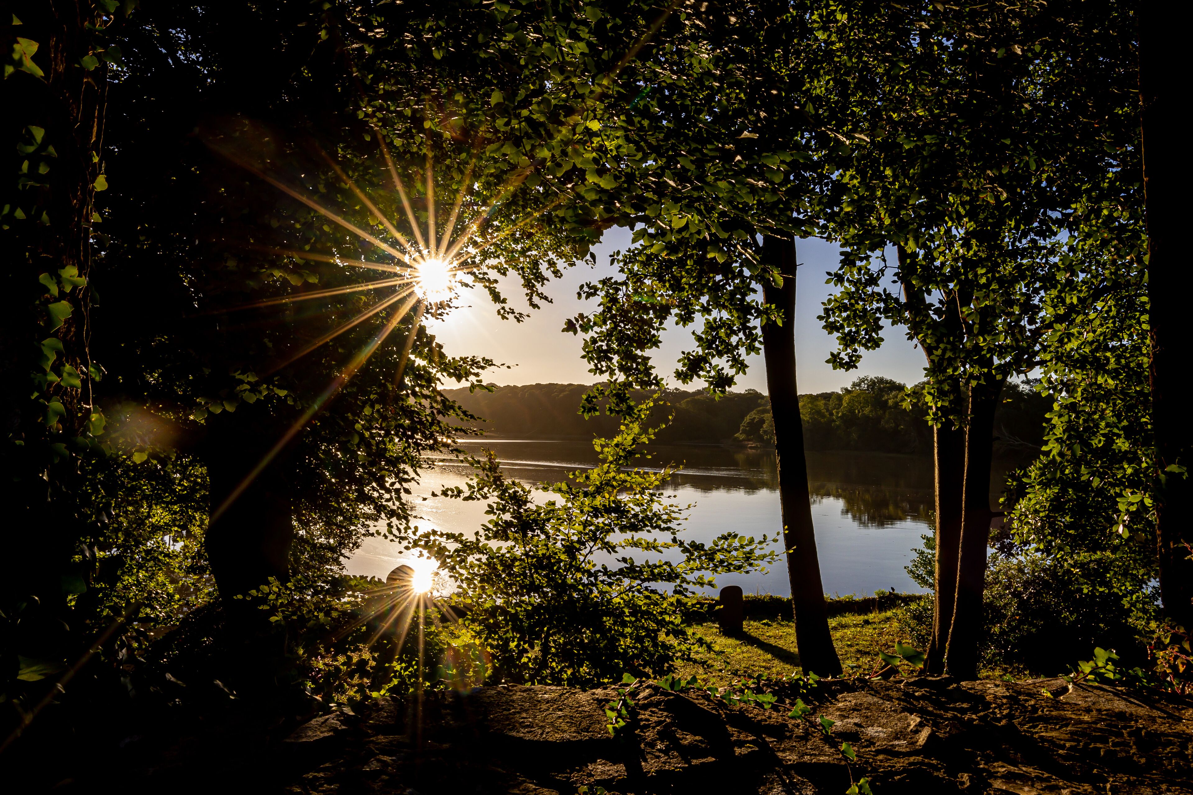 Een vredig plasseneilandlandschap met zonlicht dat door de bomen schijnt, een kalm meer en een heldere lucht.