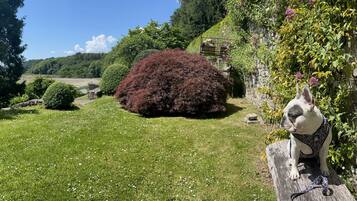 A garden with a large bush, a dog on a wooden bench, and a stone wall.