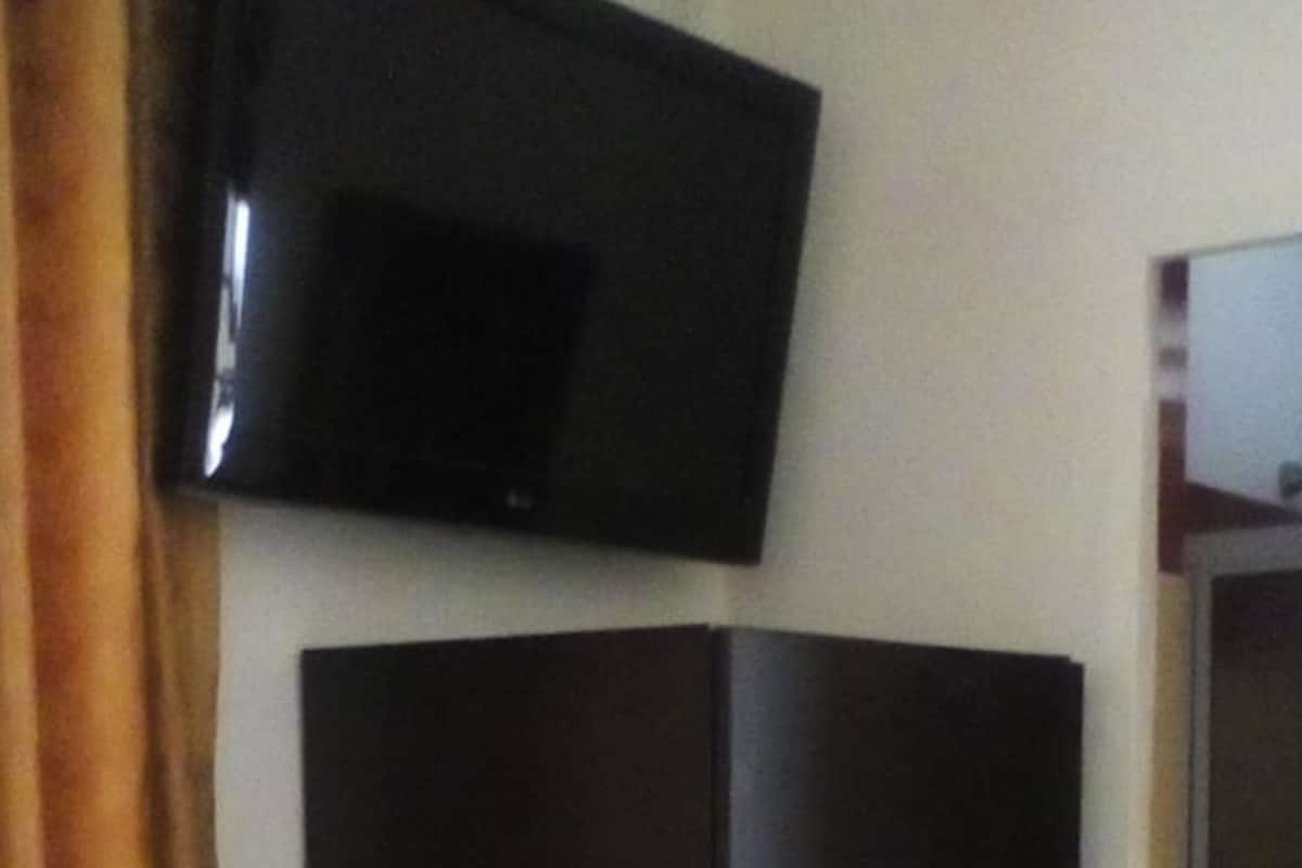 Television