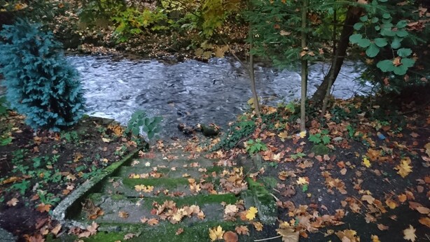 Un pont de pierre enjambant un ruisseau, entouré de feuillage et jonché de feuilles mortes.