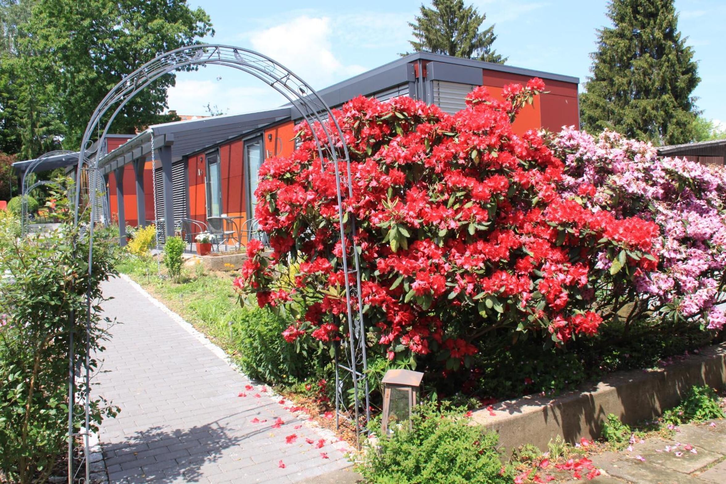 Een pad dat leidt naar een gebouw met een metalen boog, omringd door felrode en roze bloemen.