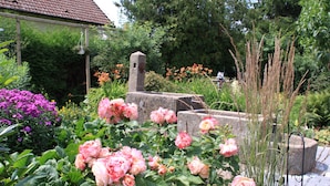 Un jardín con rosas rosadas en flor, una estructura de piedra y diversas plantas.