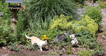 mein kleinHOTEL Herbstein