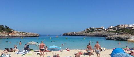 Playa en los alrededores y camastros