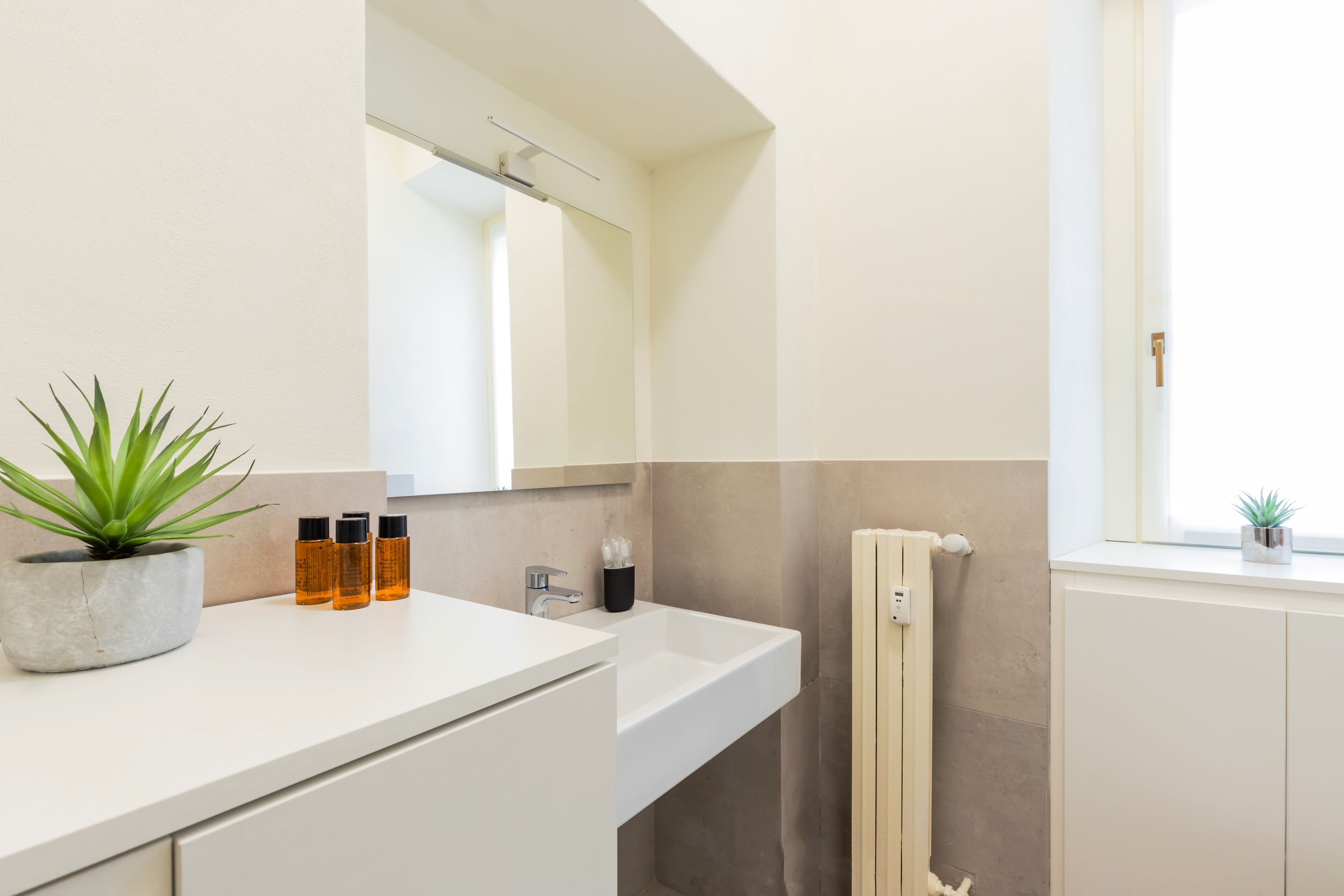 Un baño moderno con un lavamanos blanco, un espejo y una planta en maceta.