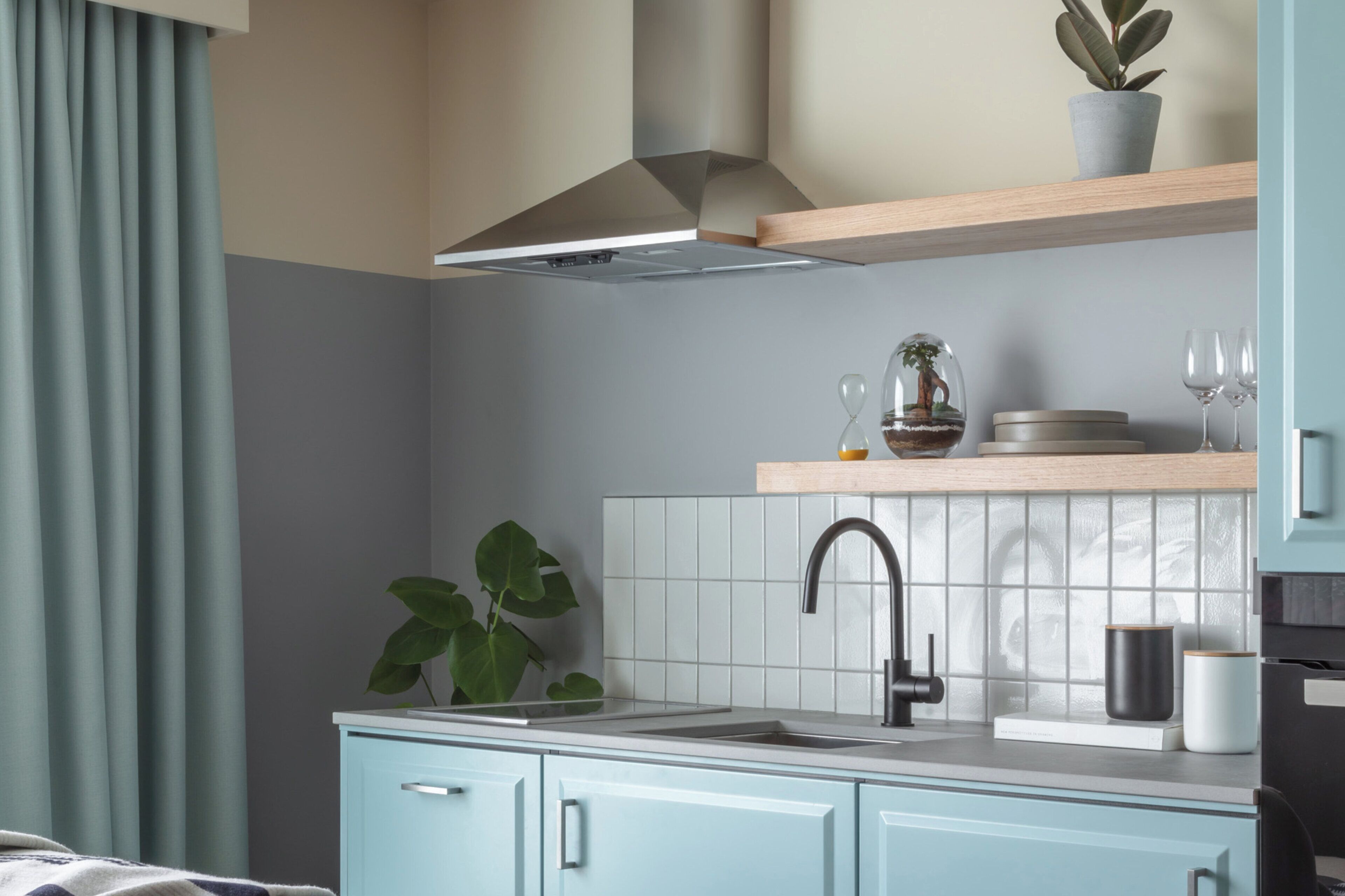 A modern kitchen with a sink, cabinets, a stainless steel range hood, and a potted plant.