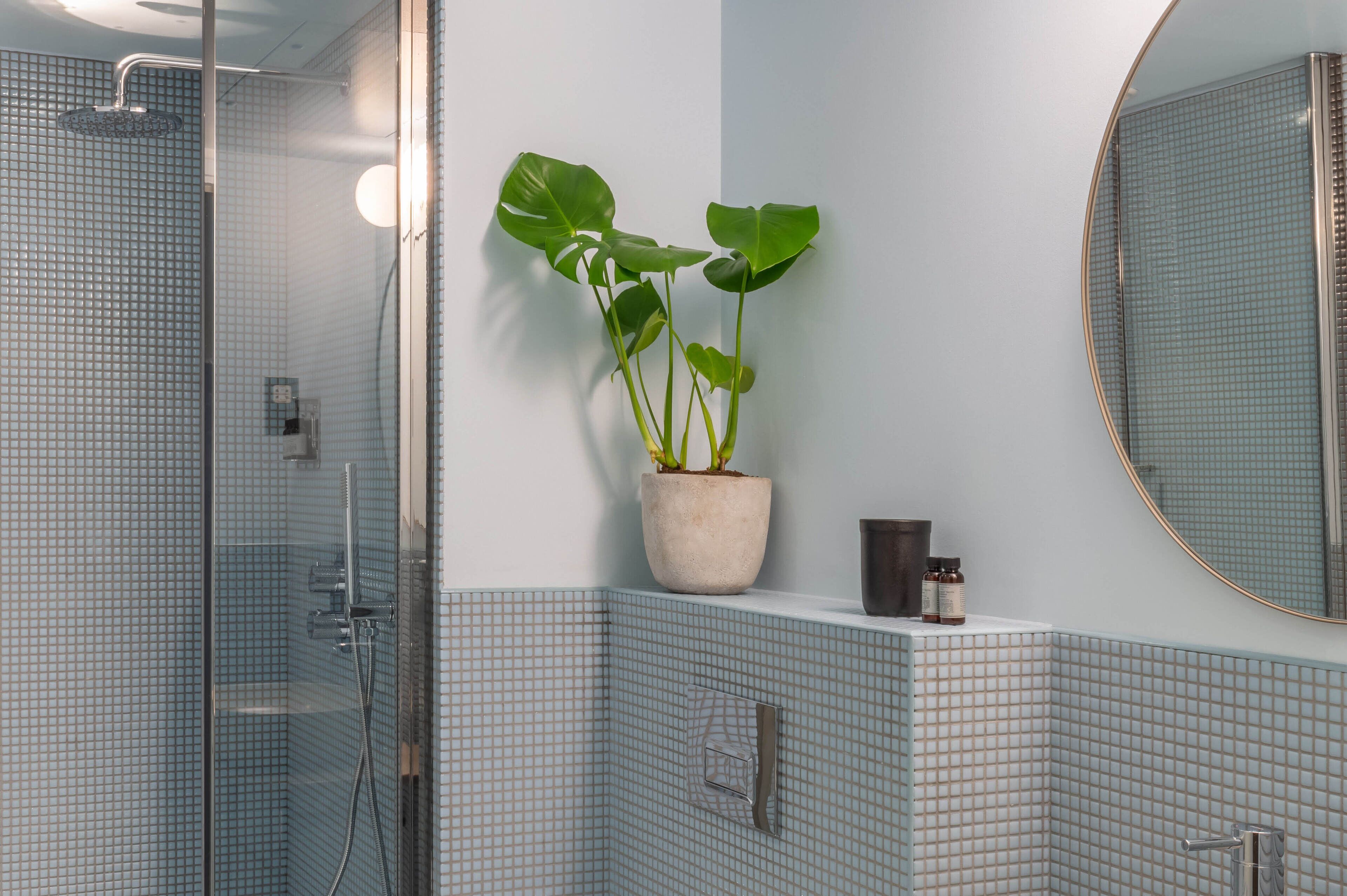 Ein Badezimmer mit Duschkabine aus Glas, einem Blumentopf, einem Spiegel und gefliesten Wänden.