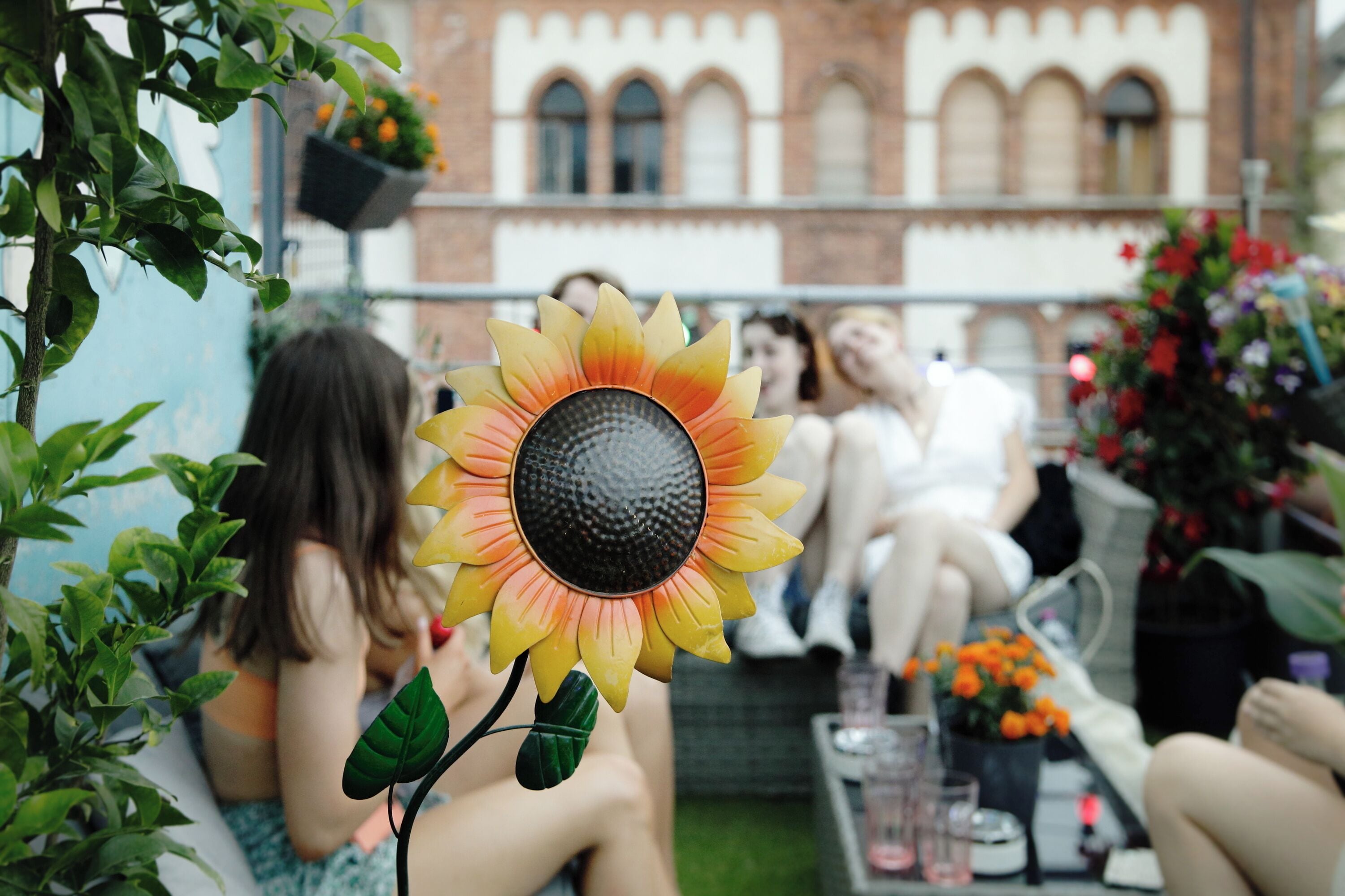 Photo - Maverick Central Market