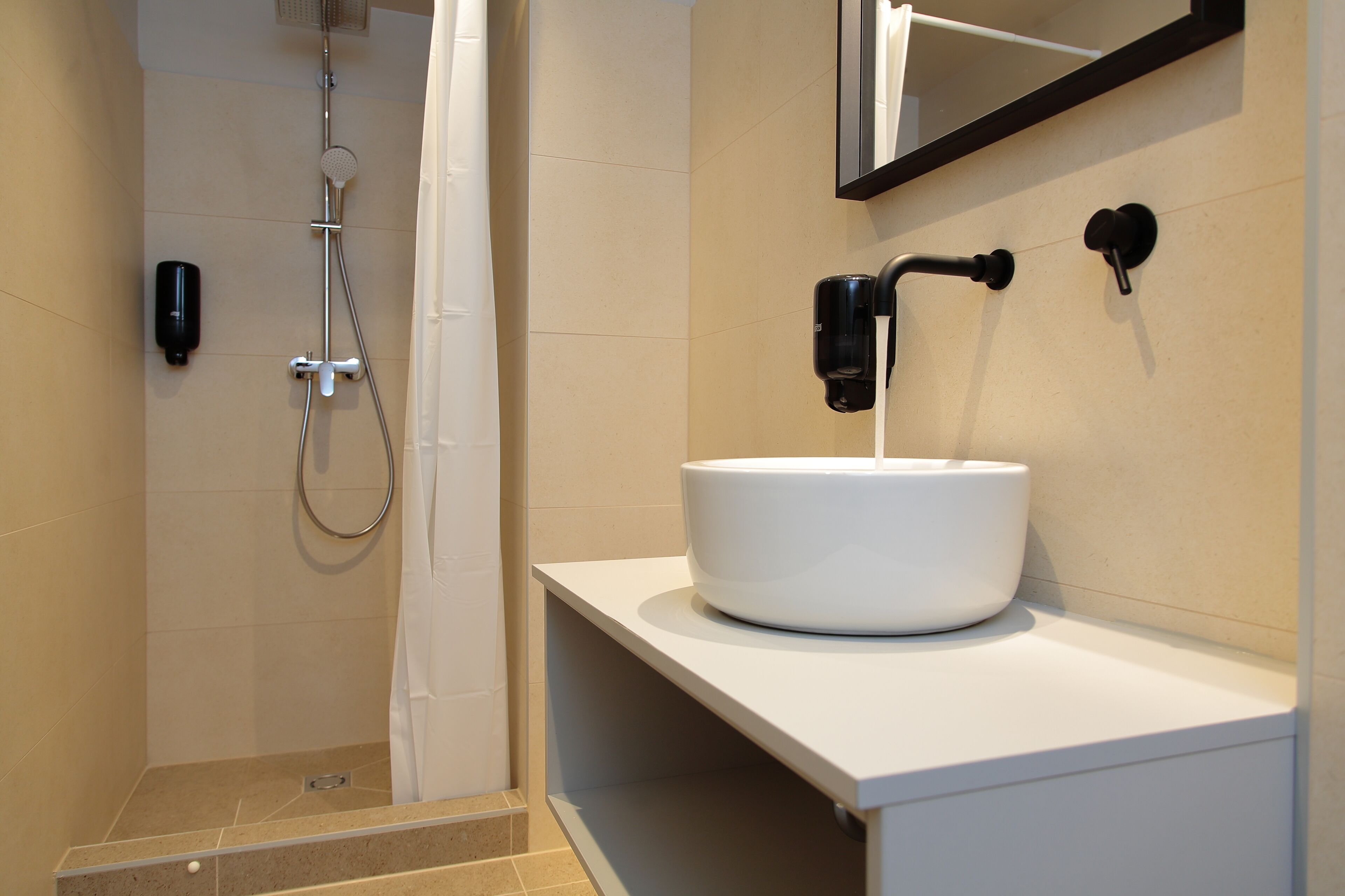 A modern bathroom with a white sink, a handheld showerhead, and a mirror above the sink.