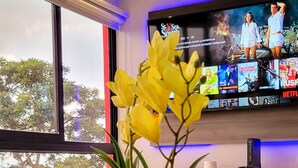 Ein modernes Wohnzimmer mit einem Glastisch, einem Topf mit einer gelben Blume, einem Flachbildfernseher, der einen Film zeigt, und einer Statue auf einem Beistelltisch.