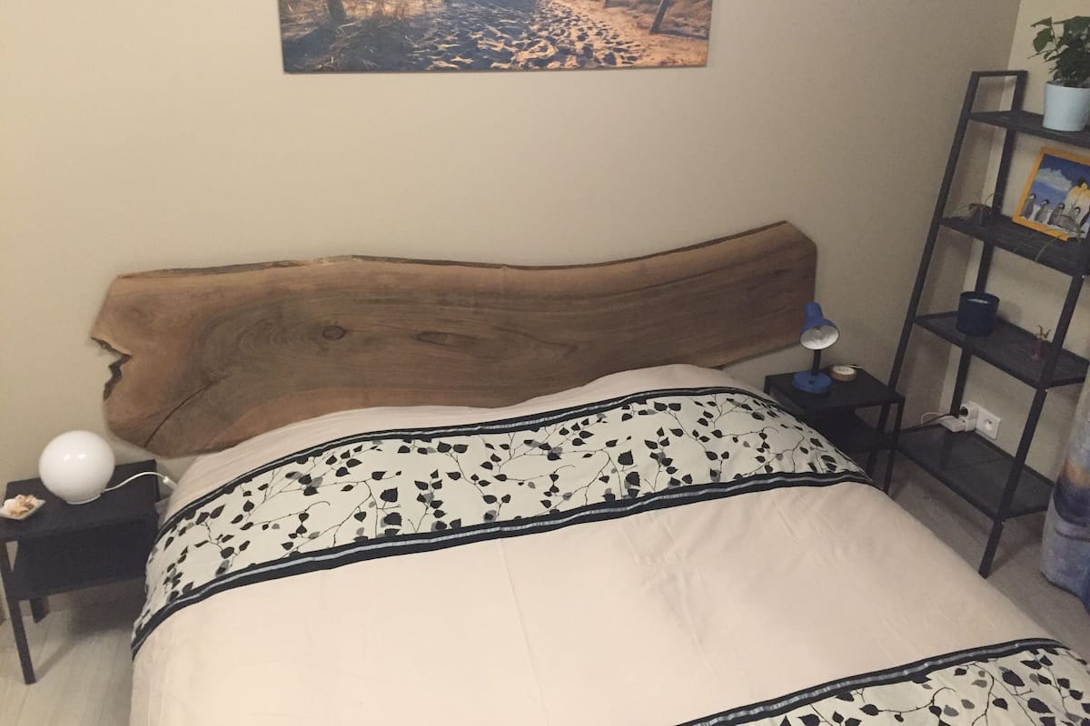 A bedroom with a wooden headboard, a bed with a patterned bedspread, a nightstand with a lamp, and a wall-mounted shelf with a plant.