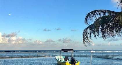 Casita Colibri, an eco chic house with a vacation feel and the comforts of home