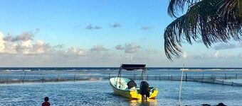 Casita Colibri, an eco chic house with a vacation feel and the comforts of home